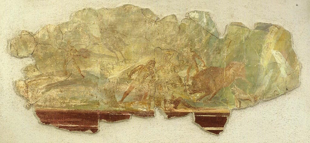 Stabiae, Secondo Complesso. Room 13, fresco of boar hunt.
Antiquario Stabiano, inventory number - 64818.
See Otium Ludens, curated by Guzzo, P, Bonifacio, G, and Sodo, A.M. (2007). Castellammare di Stabia: Nicola Longobardi, p. 136.