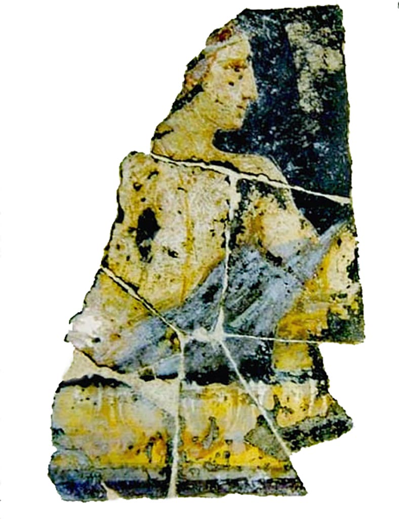 Stabiae, Secondo Complesso. Room 13, fresco of female head on black background.
Antiquarium Stabiano, inventory number - 64280