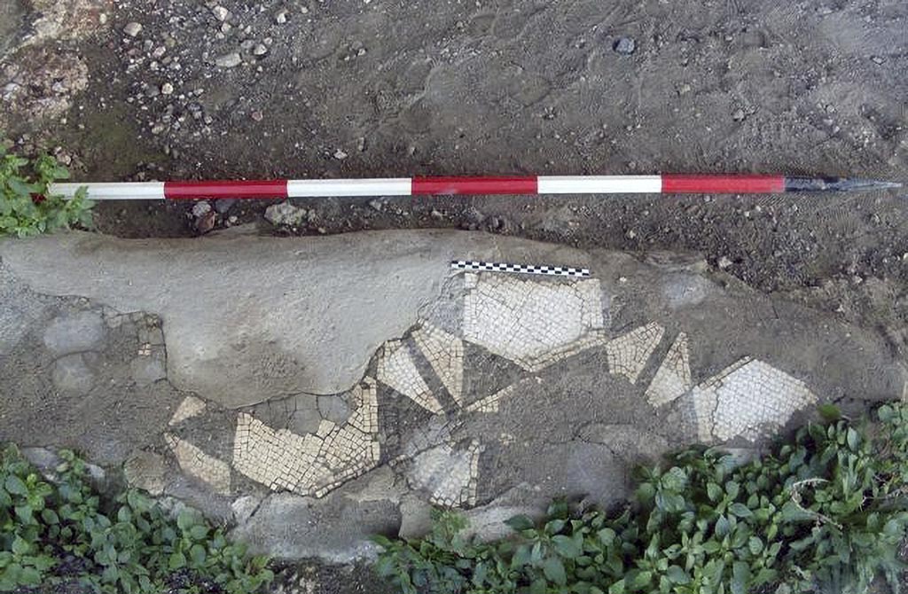 Stabiae Secondo Complesso ambiente 11. 2015.
Photo courtesy of Carmela Ariano, Varano, Secondo Complesso, ambiente di soggiorno 11, tessellato bicromo, in TESS – scheda 18029.
http://tess.beniculturali.unipd.it/web/scheda/?recid=18029 
Use: CC BY-NC-SA 2.5
See PISAPIA, M. S. 1989, in Mosaici antichi in Italia, Regione prima. Stabia, Roma, p. 55, tavv. XXXII-XXXV.