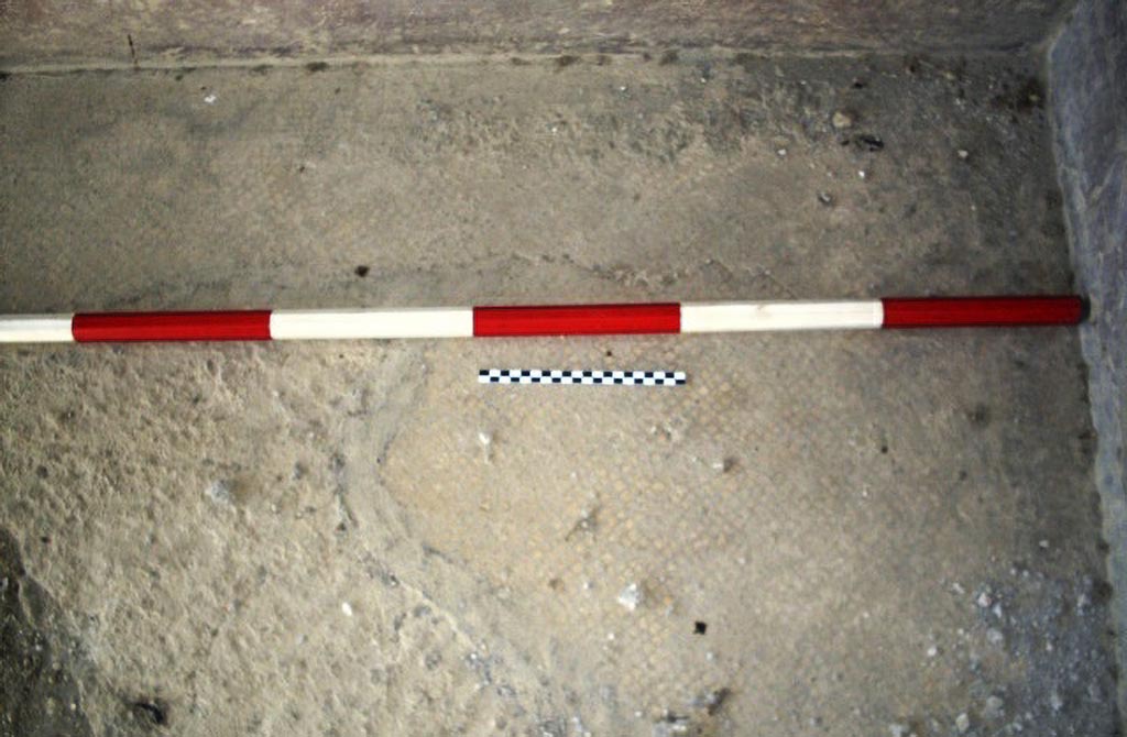 Stabiae Secondo Complesso ambiente 9. 2015. Room 9, north-west corner.
Photo courtesy of Carmela Ariano, Varano, Secondo Complesso, ambiente di soggiorno 9, tessellato monocromo, in TESS – scheda 18027.
http://tess.beniculturali.unipd.it/web/scheda/?recid=18027 
Use: CC BY-NC-SA 2.5
Pisapia describes this floor as number 111.
See Pisapia, M. S. 1989, in Mosaici antichi in Italia, Regione prima. Stabia, Roma, (p. 56).