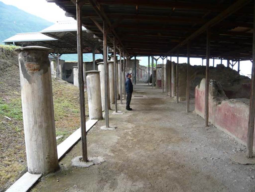 Stabiae, Secondo Complesso (Villa B), May 2010. Room 1, looking west along north portico. Photo courtesy of Buzz Ferebee.