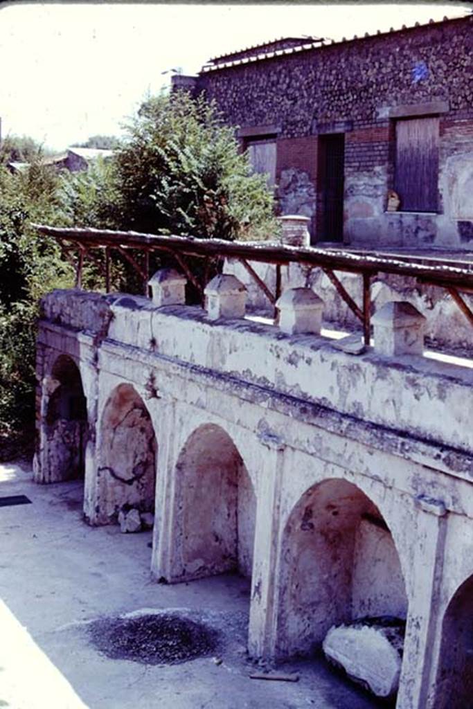 Villa Arianna, 1976. Terrace C looking east towards arched wall with terrace B. Photo by Stanley A. Jashemski. 
Source: The Wilhelmina and Stanley A. Jashemski archive in the University of Maryland Library, Special Collections (See collection page) and made available under the Creative Commons Attribution-Non Commercial License v.4. See Licence and use details.
J76f0514