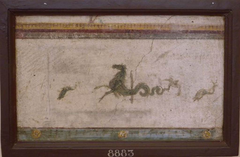 Stabiae, Villa Arianna, found 24th December 1760. Room E, painting of sea horses.
Now in Naples Archaeological Museum. Inventory number 8883.
See Sampaolo V. and Bragantini I., Eds, 2009. La Pittura Pompeiana. Electa: Verona, p. 477.