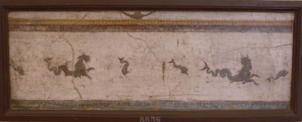 Stabiae, Villa Arianna, found 24th December 1760. Room E, painting of sea horses.
Now in Naples Archaeological Museum. Inventory number 8856.
See Sampaolo V. and Bragantini I., Eds, 2009. La Pittura Pompeiana. Electa: Verona, p. 477.