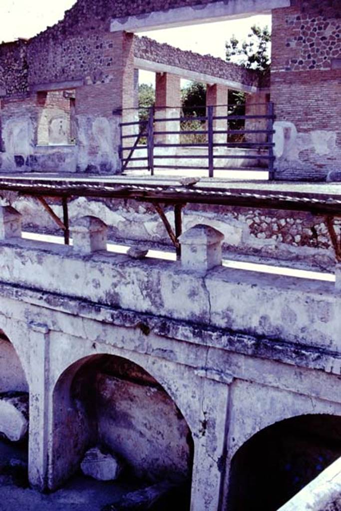 Stabiae, Villa Arianna, 1976. Doorway to the large summer triclinium/exedra, above the arched wall on the terrace.  Photo by Stanley A. Jashemski.   
Source: The Wilhelmina and Stanley A. Jashemski archive in the University of Maryland Library, Special Collections (See collection page) and made available under the Creative Commons Attribution-Non Commercial License v.4. See Licence and use details. J76f0518