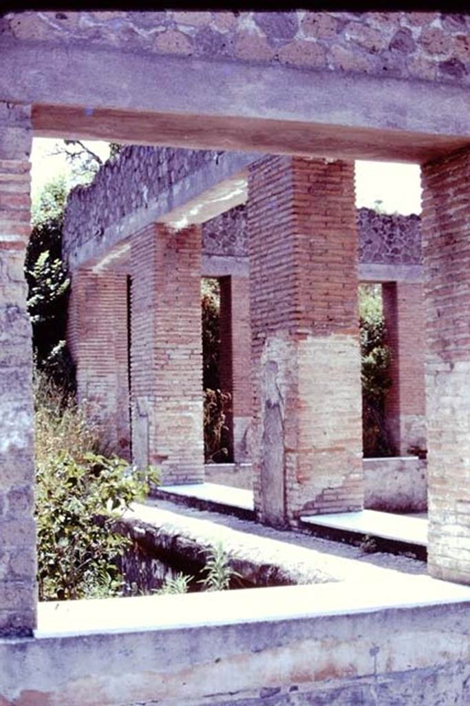 Stabiae, Villa Arianna, 1976. Looking south from the loggia towards the great windowed exedra, with a sunken garden on its east side.
Photo by Stanley A. Jashemski. 
Source: The Wilhelmina and Stanley A. Jashemski archive in the University of Maryland Library, Special Collections (See collection page) and made available under the Creative Commons Attribution-Non Commercial License v.4. See Licence and use details.
J76f0511
According to Wilhelmina, “the large summer triclinium got its light and air from the small rectangular sunken gardens on each side of it that appear to continue around the back of the room, but this area has not been excavated”.
See Jashemski, W. F., 1993. The Gardens of Pompeii, Volume II: Appendices. New York: Caratzas, (p.309)