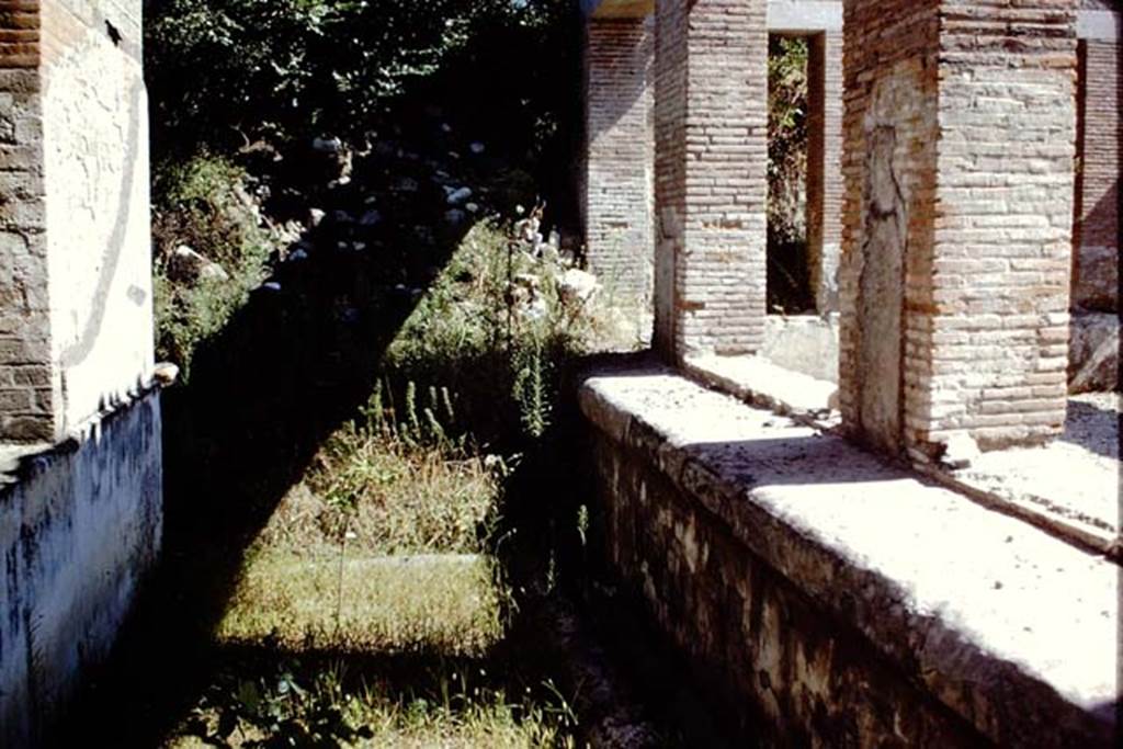 Villa Arianna, 1968, Looking south across sunken garden on east side of windowed exedra, on right.  Photo by Stanley A. Jashemski
Source: The Wilhelmina and Stanley A. Jashemski archive in the University of Maryland Library, Special Collections (See collection page) and made available under the Creative Commons Attribution-Non Commercial License v.4. See Licence and use details. Jmis0094