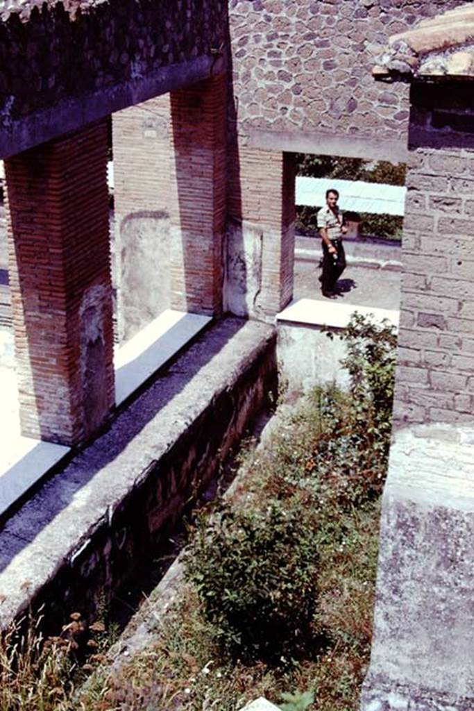 Stabiae, Villa Arianna. 1976. Looking north across sunken garden on the east side of the large exedra or summer triclinium. Photo by Stanley A. Jashemski.   
Source: The Wilhelmina and Stanley A. Jashemski archive in the University of Maryland Library, Special Collections (See collection page) and made available under the Creative Commons Attribution-Non Commercial License v.4. See Licence and use details. J76f0512