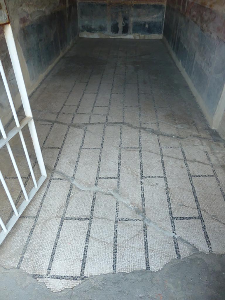 Stabiae, Villa Arianna, September 2015. Room 11, mosaic floor, looking south.