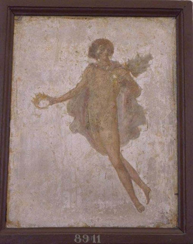 Stabiae, Villa Arianna, found 10th May 1760. Room 12, painting of a youth with coronet.
Now in Naples Archaeological Museum. Inventory number 8911.
See Sampaolo V. and Bragantini I., Eds, 2009. La Pittura Pompeiana. Electa: Verona, p. 473.
See Pagano, M. and Prisciandaro, R., 2006. Studio sulle provenienze degli oggetti rinvenuti negli scavi borbonici del regno di Napoli.  Naples: Nicola Longobardi, p. 246..