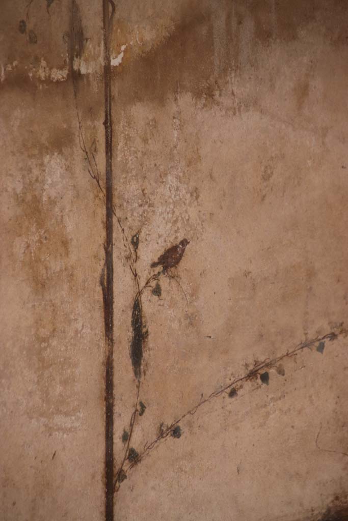 Villa Arianna, October 2020. 
Room 12, detail of painted decoration from north end of east wall. Photo courtesy of Klaus Heese.