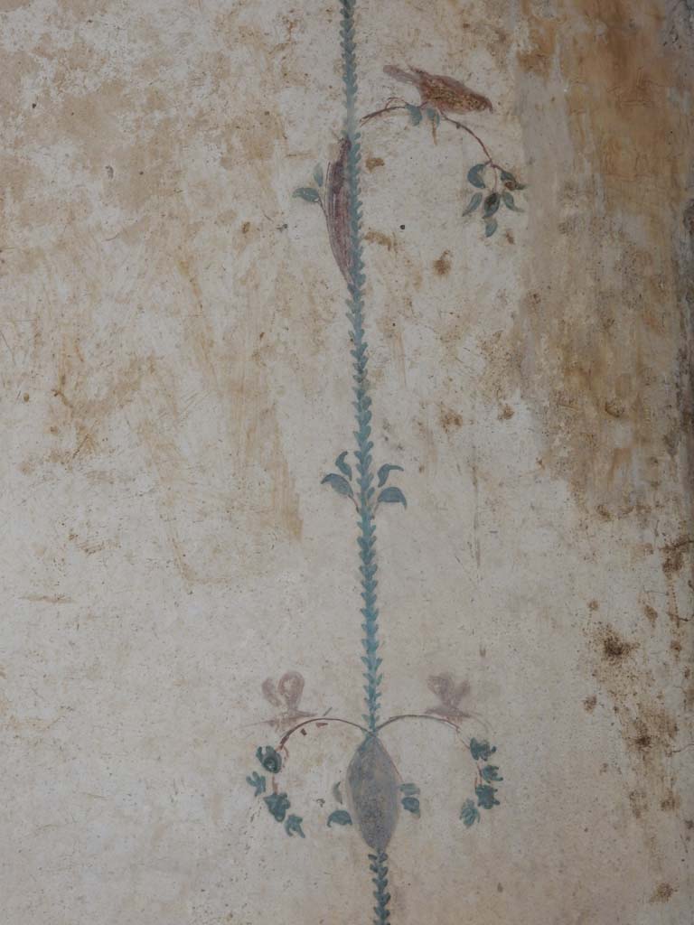 Stabiae, Villa Arianna, June 2019. Room 12, detail from east wall in south-east corner.
Photo courtesy of Buzz Ferebee.