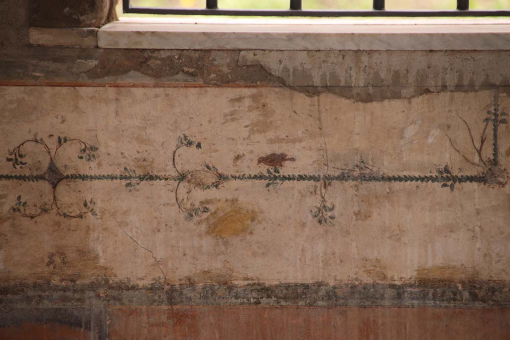 Stabiae, Villa Arianna, October 2020. Room 12, detail of continuation of painted frieze on south wall. Photo courtesy of Klaus Heese