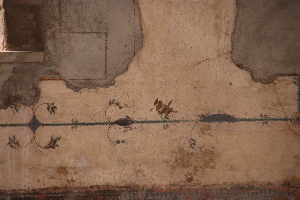 Stabiae, Villa Arianna, October 2020. 
Room 12, detail of painted decoration on south wall in south-west corner. Photo courtesy of Klaus Heese.