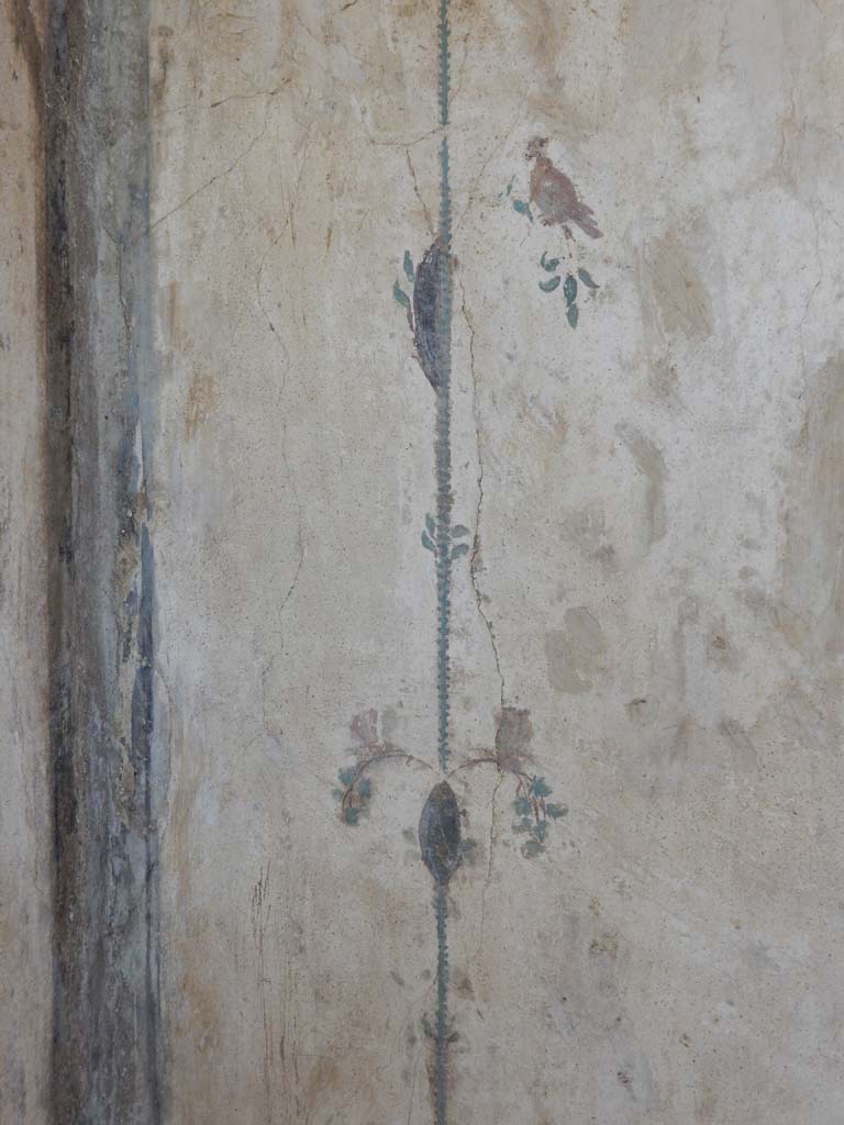 Stabiae, Villa Arianna, June 2019. Room 12, detail from north wall in north-west corner.
Photo courtesy of Buzz Ferebee.