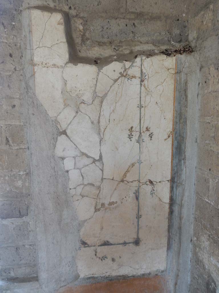 Stabiae, Villa Arianna, June 2019. Room 12, detail from north wall in north-east corner
Photo courtesy of Buzz Ferebee.