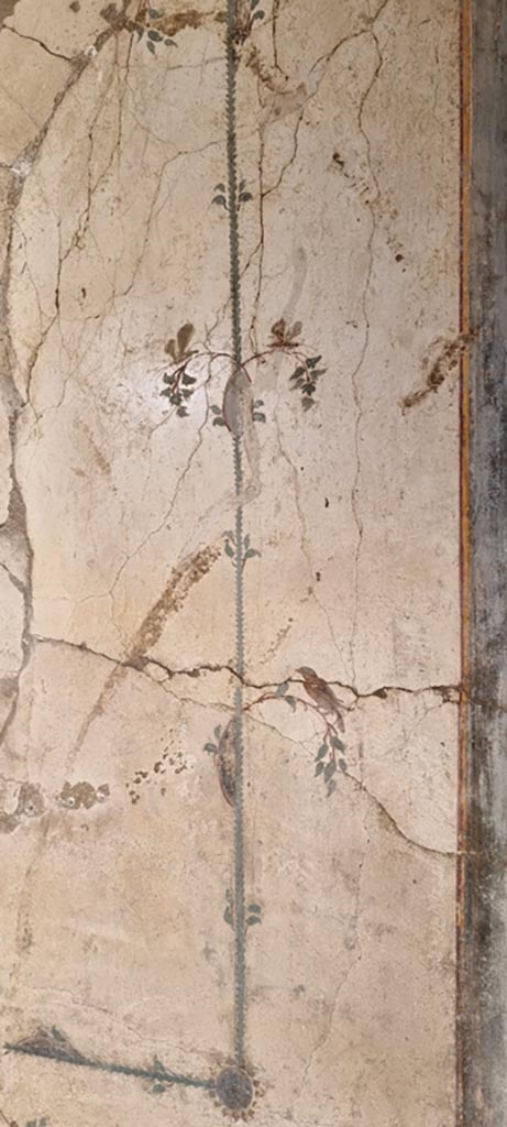 Stabiae, Villa Arianna, December 2023.
Room 12, detail from north wall in north-east corner. Photo courtesy of Miriam Colomer.