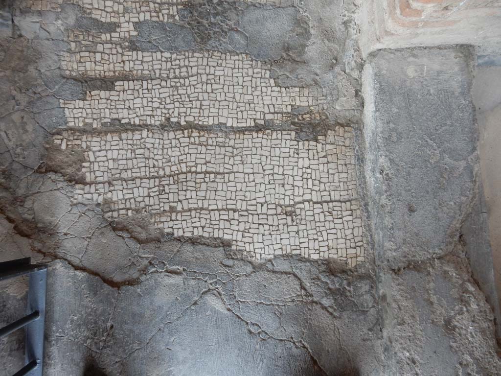 Stabiae, Villa Arianna, June 2019. Corridor 8, detail of flooring near entrance doorway.
Photo courtesy of Buzz Ferebee.