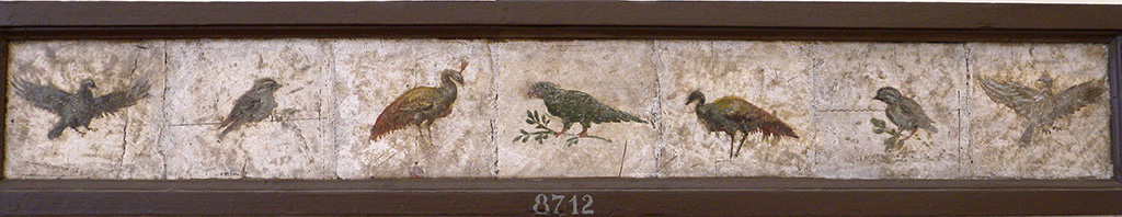 Stabiae, Villa Arianna, found 22nd February 1760. Room 9, paintings of birds and peacocks.
Now in Naples Archaeological Museum. Inventory number 8712.
See Sampaolo V. and Bragantini I., Eds, 2009. La Pittura Pompeiana. Electa: Verona, p. 463.
See Pagano, M. and Prisciandaro, R., 2006. Studio sulle provenienze degli oggetti rinvenuti negli scavi borbonici del regno di Napoli. Naples: Nicola Longobardi, p. 245.