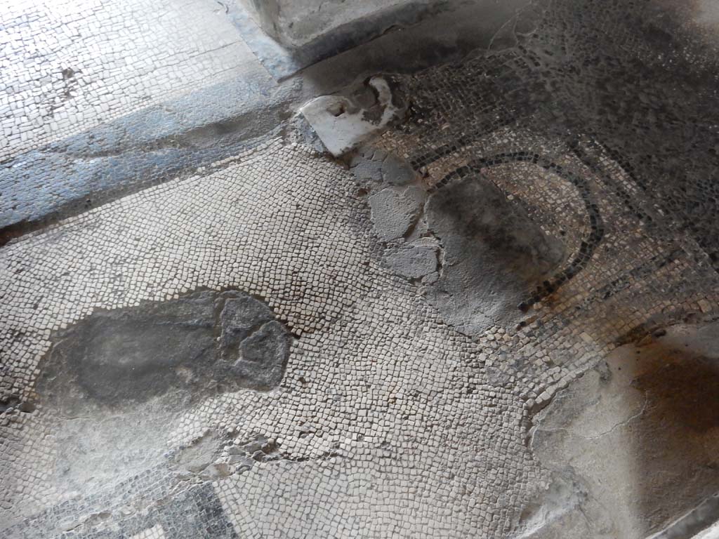 Stabiae, Villa Arianna, June 2019. 
Room 5, detail of threshold, with corridor 8, upper left, and mosaic floor of room 10, lower left. Photo courtesy of Buzz Ferebee.