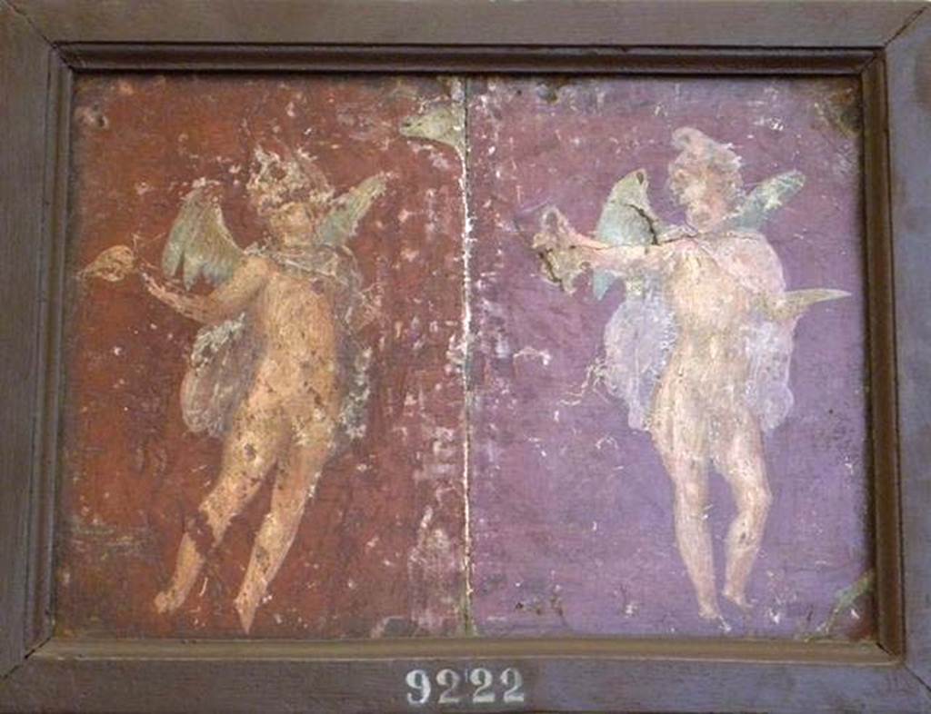 Stabiae, Villa Arianna, found 24th March 1760. Room 5, composite of two paintings of cupids.
Now in Naples Archaeological Museum. Inventory number 9222.
See Sampaolo V. and Bragantini I., Eds, 2009. La Pittura Pompeiana. Electa: Verona, p. 466.
See Pagano, M. and Prisciandaro, R., 2006. Studio sulle provenienze degli oggetti rinvenuti negli scavi borbonici del regno di Napoli.  Naples: Nicola Longobardi, p. 245.