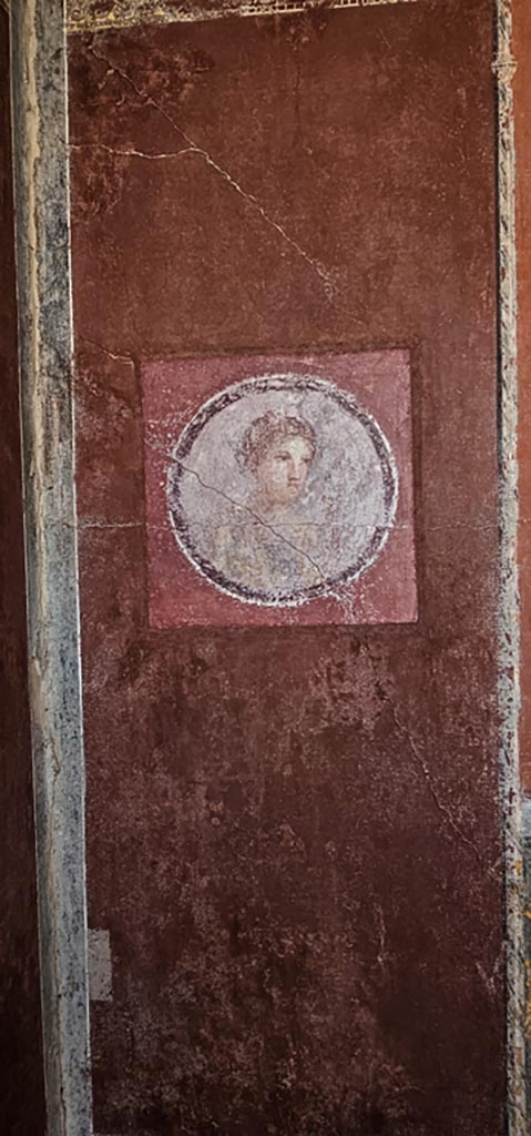 Stabiae, Villa Arianna, December 2023.
Room 7, painted medallion from east end of south wall. 
Photo courtesy of Miriam Colomer.
