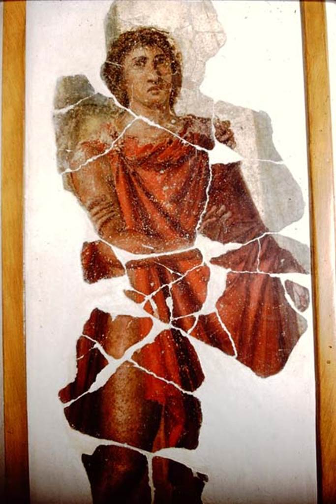 Stabiae, Villa Arianna, 1961. Central wall painting of Hippolytus, from the east wall of Triclinium 3.
Photo by Stanley A. Jashemski.
Source: The Wilhelmina and Stanley A. Jashemski archive in the University of Maryland Library, Special Collections (See collection page) and made available under the Creative Commons Attribution-Non Commercial License v.4. See Licence and use details.
J61f0573
Now in the Stabia Antiquarium, inventory number 2527.