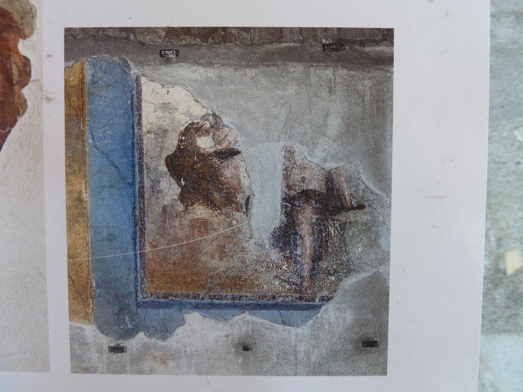 Stabiae, Villa Arianna, September 2015. 
Description board showing photo of the painting of Zeus in the guise of an eagle abducting Ganymede, from the west wall.