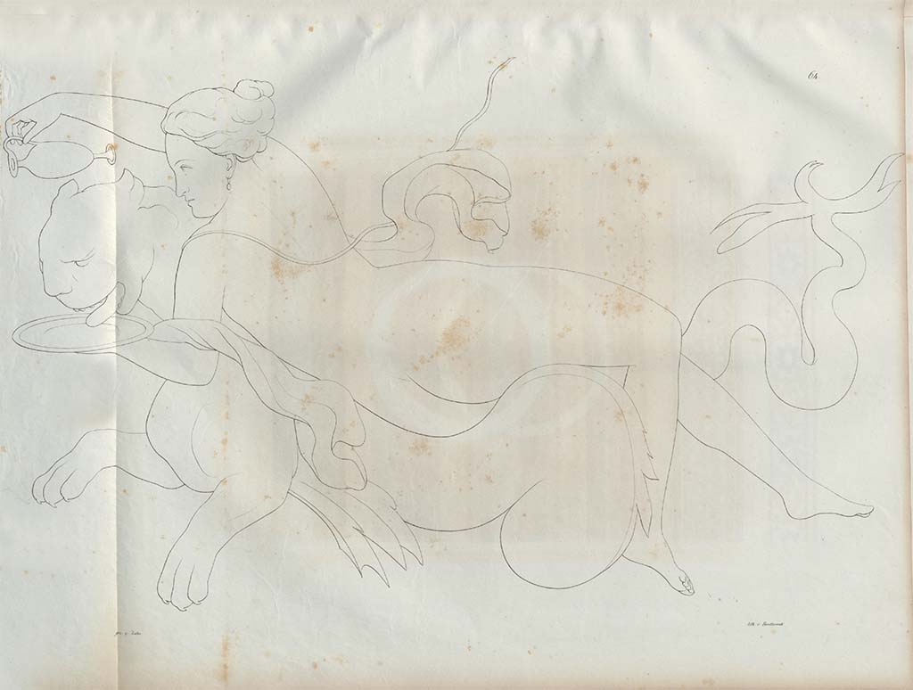 Stabiae, Villa Arianna. Drawing by Zahn in Naples Museum, of painting of nereid on a sea tiger/panther.
See Zahn, W., 1828-29. Die schönsten Ornamente und merkwürdigsten Gemälde aus Pompeji, Herkulanum und Stabiae: I. Berlin: Reimer, taf. 64.