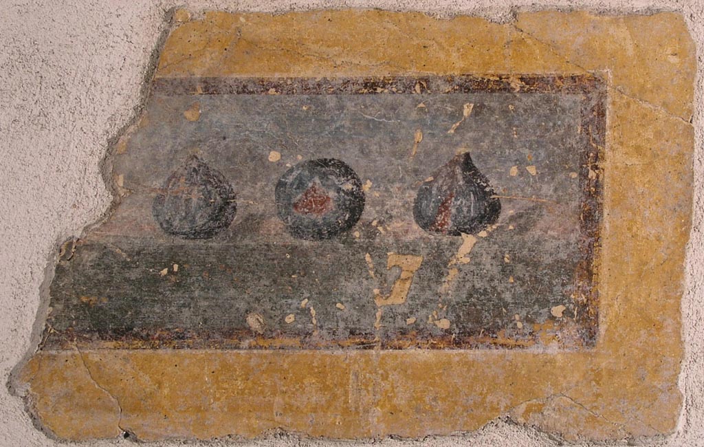 Stabiae, Villa Arianna. Room 21, west wall. Painting with figs.
Now in Stabia Antiquarium, inventory number 64243.
This small painting comes, like the Greek graffito (65179), from the west wall of the courtyard, room 21.
See Otium Ludens, curated by Guzzo, P, Bonifacio, G, and Sodo, A.M. (2007). Castellammare di Stabia: Nicola Longobardi, p. 144.