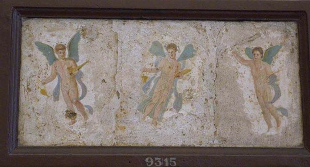 Stabiae, Villa Arianna, found 7th July 1759. Room W.29 or W.30, paintings of three winged figures.
Now in Naples Archaeological Museum. Inventory number 9315. 
See Pagano, M. and Prisciandaro, R., 2006. Studio sulle provenienze degli oggetti rinvenuti negli scavi borbonici del regno di Napoli.  Naples: Nicola Longobardi, p. 242.
See Sampaolo V. and Bragantini I., Eds, 2009. La Pittura Pompeiana. Electa: Verona, p. 493.