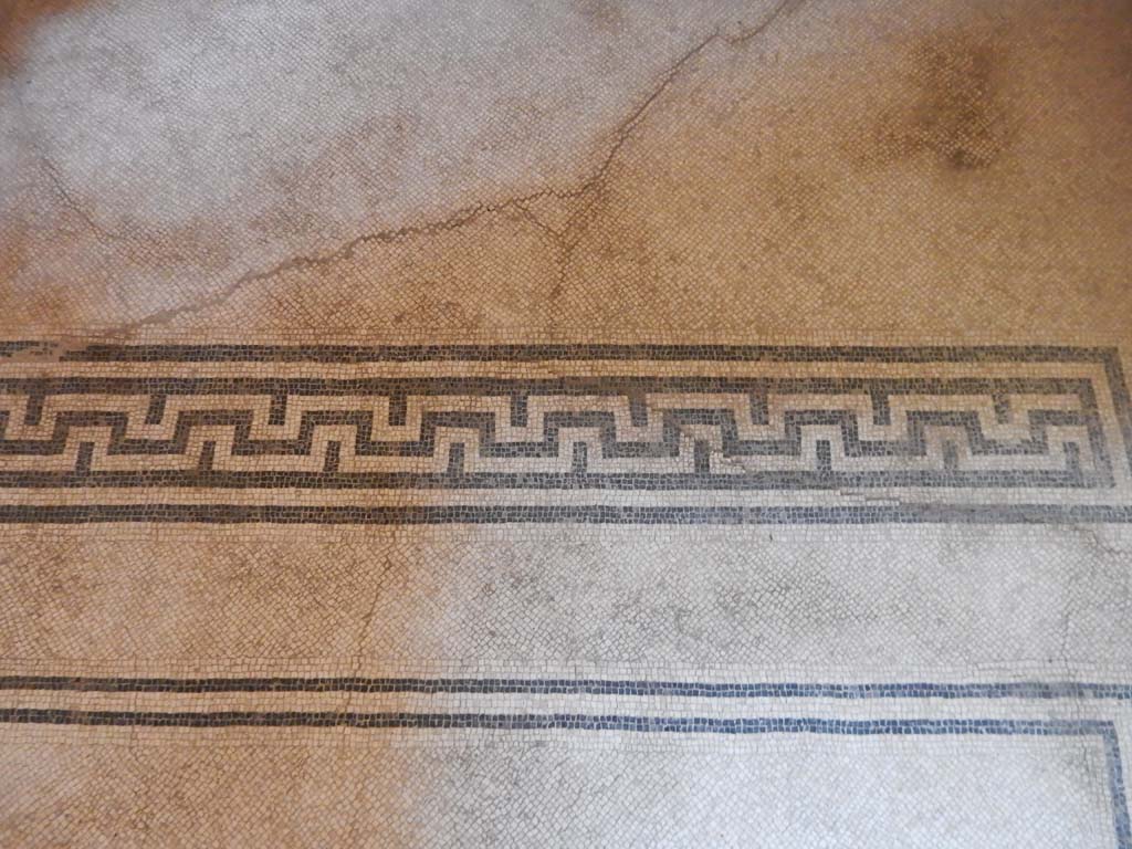 Stabiae, Villa Arianna, June 2019. W.28, detail of mosaic threshold to alcove at west end. 
Photo courtesy of Buzz Ferebee.