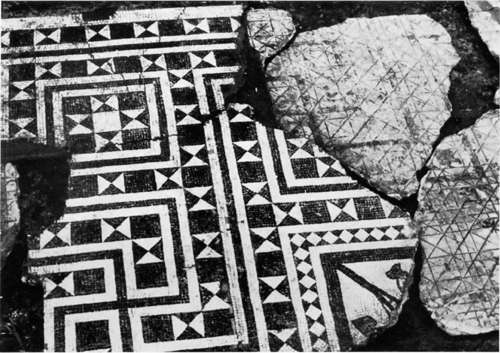 Stabiae, Villa Arianna, Room 18 tablinum, fragment of the mosaic and the sinopia.
See Bollettino d’Arte 1973 Fasc. I. Robotti C, Una sinopia musiva pavimentale a Stabia (p.43, fig. 1)