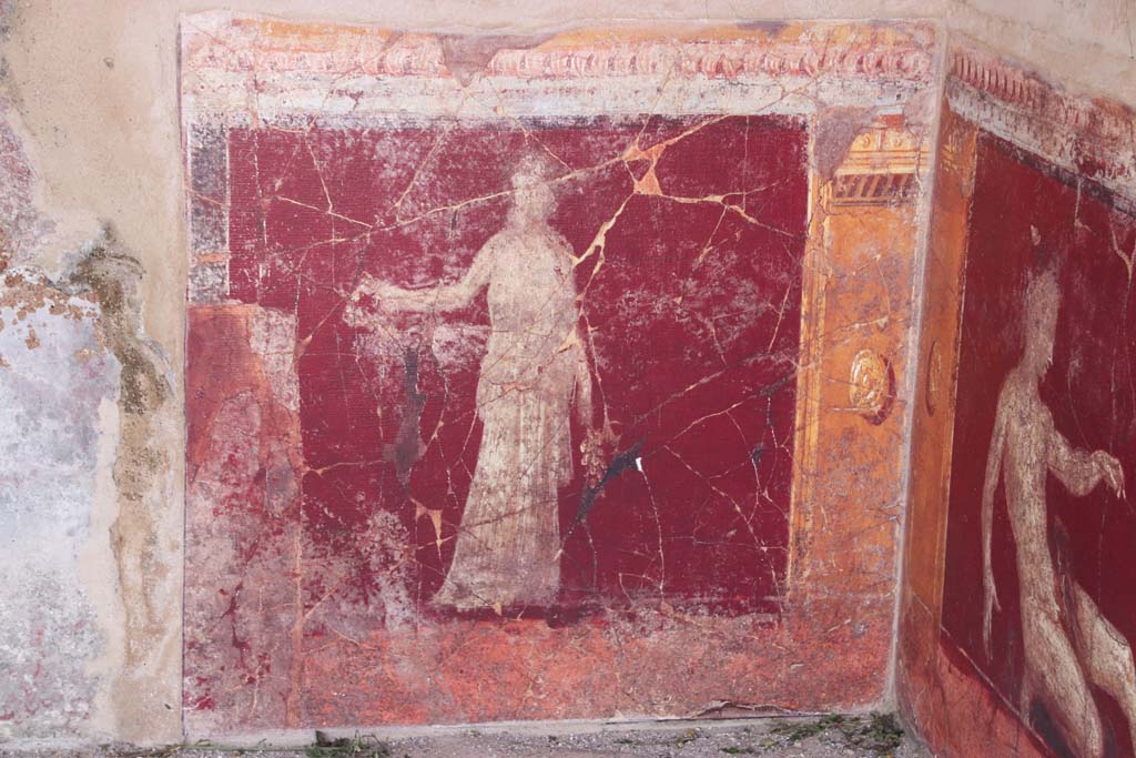 Stabiae, Villa Arianna, September 2021. 
Room 17, painted figure from zoccolo on south wall in south-west corner. Photo courtesy of Klaus Heese.
Described as a “Woman in white tiered dress”, height 1.2m x 99 cm width (47” x 40” inches).
This fresco shows a female clothed figure in white multi-tiered gown standing upright with her right arm gracefully outstretched and her left arm holding a laurel branch at her side. Her head is adorned with a tiara of beads and/or flowers and she is looking off into the distance.
