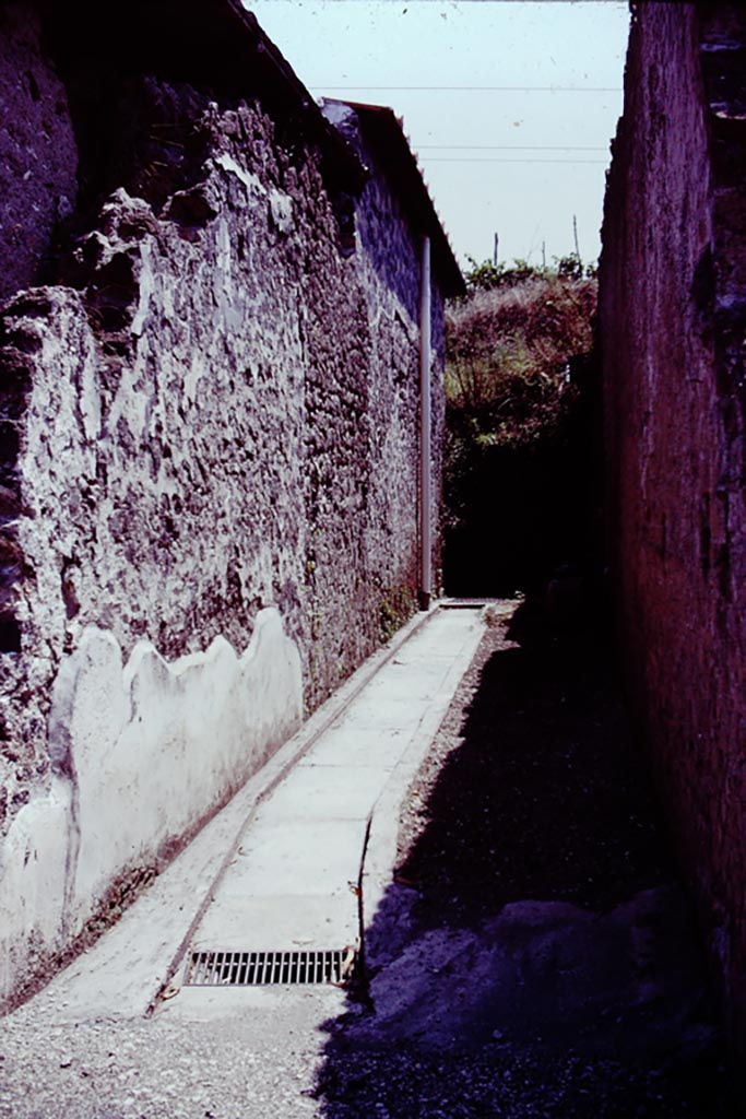 Stabiae, Villa Arianna, 1976. 
A small roadway separating the Villa Arianna, from another villa on its east – Villa B, the Second Complex. Photo by Stanley A. Jashemski. 
Source: The Wilhelmina and Stanley A. Jashemski archive in the University of Maryland Library, Special Collections (See collection page) and made available under the Creative Commons Attribution-Non Commercial License v.4. See Licence and use details.
J76f0528