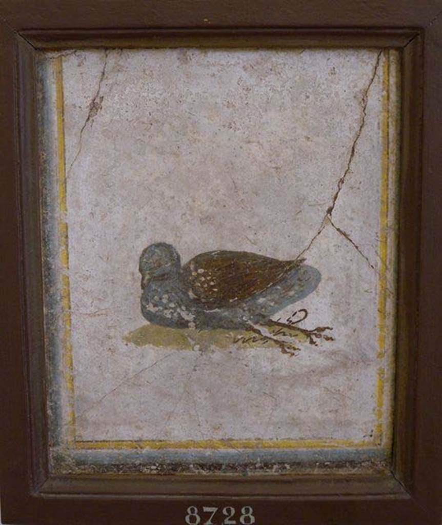 Stabiae, Villa Arianna, found 22nd July 1758. Room W.15. Painting of bird.
Now in Naples Archaeological Museum. Inventory number 8728.
See Pagano, M. and Prisciandaro, R., 2006. Studio sulle provenienze degli oggetti rinvenuti negli scavi borbonici del regno di Napoli.  Naples: Nicola Longobardi, p. 242. 
See Sampaolo V. and Bragantini I., Eds, 2009. La Pittura Pompeiana. Electa: Verona, p. 490.