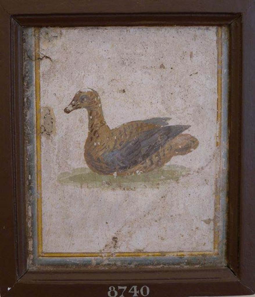 Stabiae, Villa Arianna, found 22nd July 1758. Room W.15. Painting of bird.
Now in Naples Archaeological Museum. Inventory number 8740.
See Pagano, M. and Prisciandaro, R., 2006. Studio sulle provenienze degli oggetti rinvenuti negli scavi borbonici del regno di Napoli.  Naples: Nicola Longobardi, p. 242. 
See Sampaolo V. and Bragantini I., Eds, 2009. La Pittura Pompeiana. Electa: Verona, p. 491.