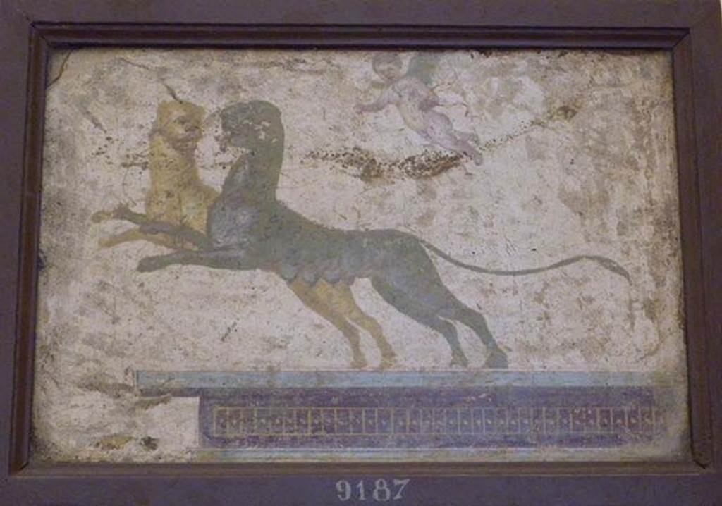 Stabiae, Villa Arianna, found 27th July 1759. Room W.26, wall painting of panthers in architecture.
Now in Naples Archaeological Museum. Inventory number 9187.
See Sampaolo V. and Bragantini I., Eds, 2009. La Pittura Pompeiana. Electa: Verona, p. 440.