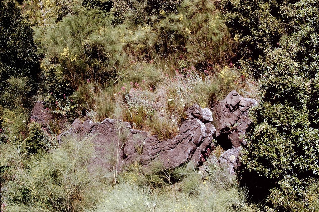 Vesuvius lava, 1972. Photo by Stanley A. Jashemski. 
Source: The Wilhelmina and Stanley A. Jashemski archive in the University of Maryland Library, Special Collections (See collection page) and made available under the Creative Commons Attribution-Non-commercial License v.4. See Licence and use details.
J72f0049