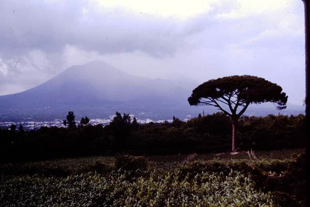 Vesuvius. 1964.  Photo by Stanley A. Jashemski.
Source: The Wilhelmina and Stanley A. Jashemski archive in the University of Maryland Library, Special Collections (See collection page) and made available under the Creative Commons Attribution-Non-commercial License v.4. See Licence and use details.
J64f1003