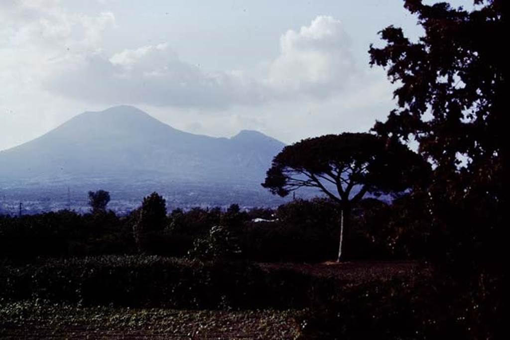 Vesuvius, 1978. Photo by Stanley A. Jashemski.   
Source: The Wilhelmina and Stanley A. Jashemski archive in the University of Maryland Library, Special Collections (See collection page) and made available under the Creative Commons Attribution-Non-commercial License v.4. See Licence and use details.
J78f0202