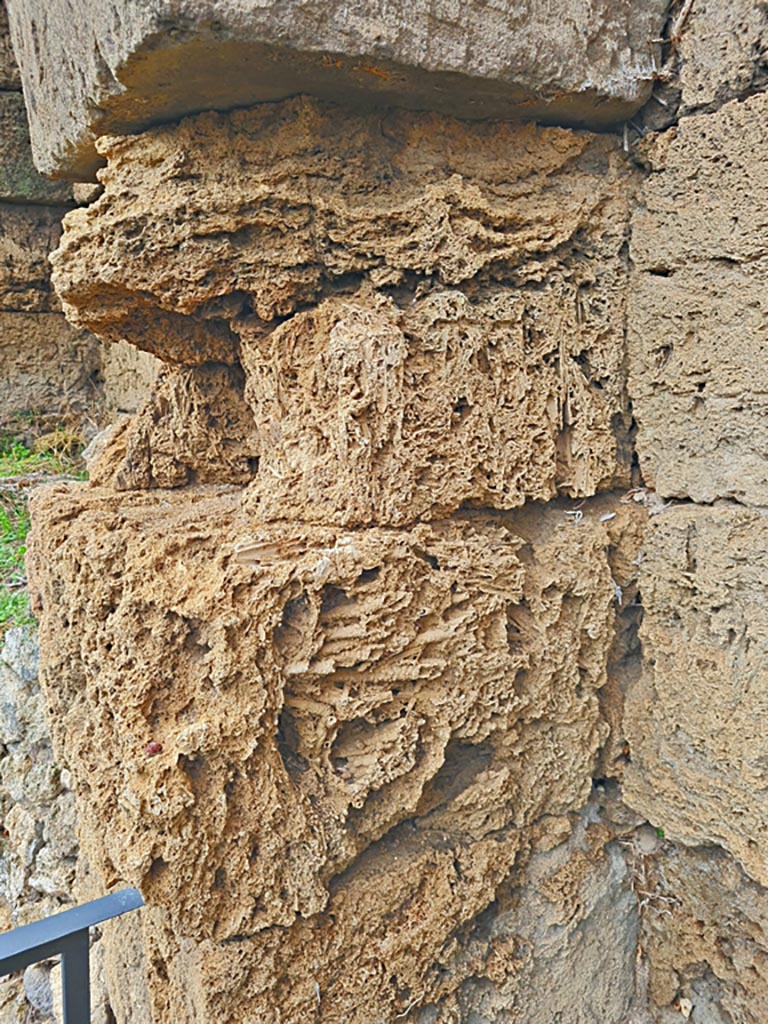 Walls on west side of Tower XI, Pompeii. November 2023. 
Detail of city wall. Photo courtesy of Giuseppe Ciaramella.