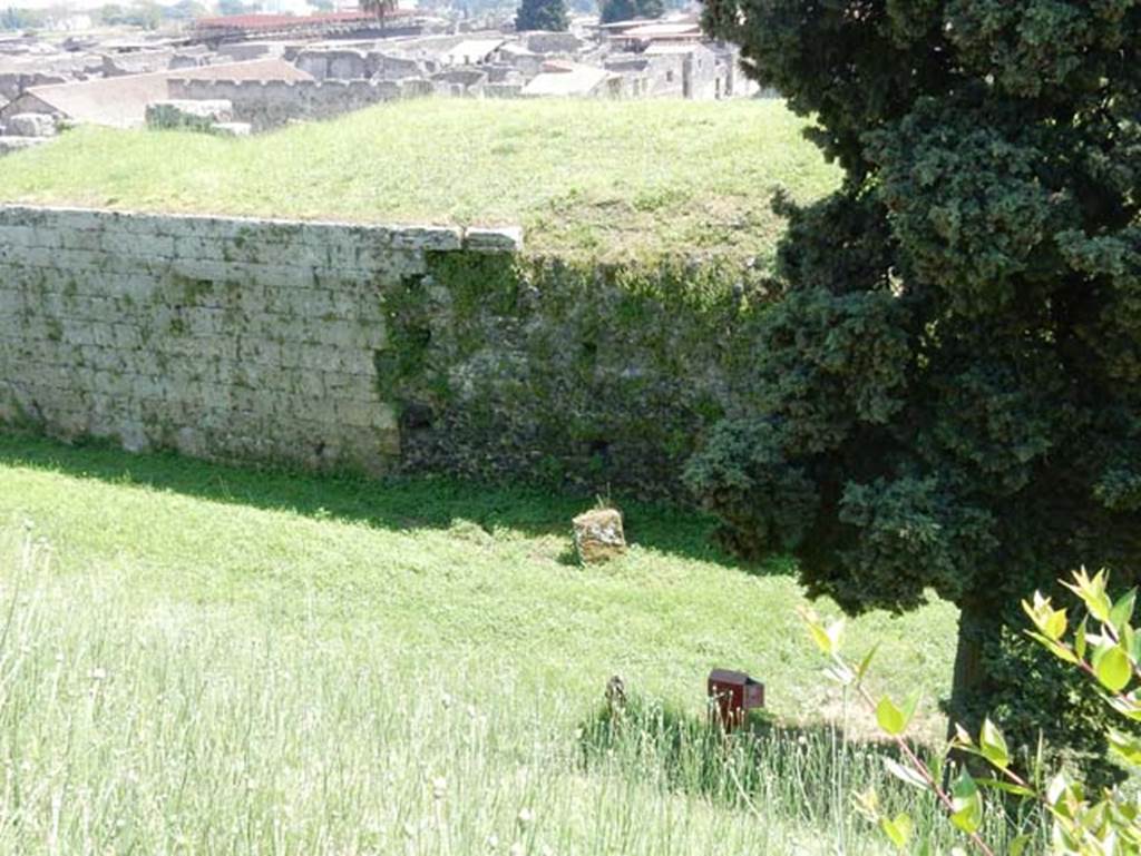 City walls on north of Pompeii. May 2015.
Looking south towards walls on west side of Tower XI, from walk around walls near Tower XII, (on right of tree, not in photo). 
Photo courtesy of Buzz Ferebee