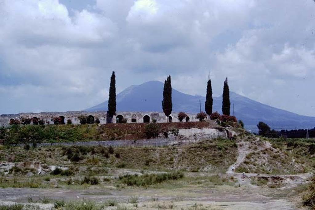 T5 Pompeii. 1968. Looking north to Tower V, built into the walls beneath the ampitheatre, seen below and between the 2nd and 3rd conifer.  Photo by Stanley A. Jashemski.
Source: The Wilhelmina and Stanley A. Jashemski archive in the University of Maryland Library, Special Collections (See collection page) and made available under the Creative Commons Attribution-Non Commercial License v.4. See Licence and use details.
J68f1755