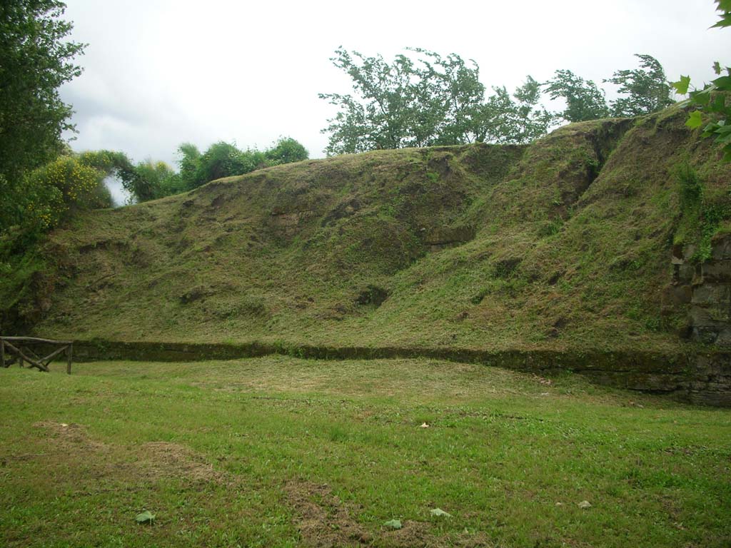 Walls on east side of Pompeii in north-east corner. May 2010. 
Looking south-west towards break in walling. Photo courtesy of Ivo van der Graaff.
